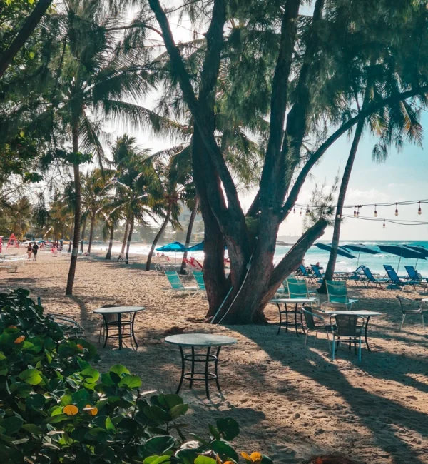 Dover Beach Divi Southwinds Barbados | Strandmeisje